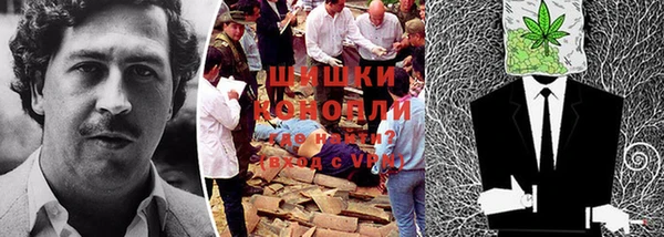 гашик Сафоново